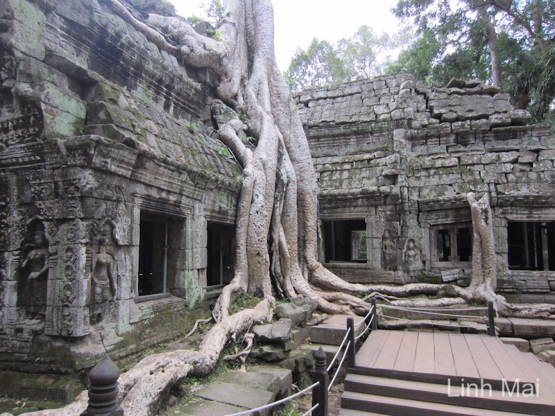 Cambodia